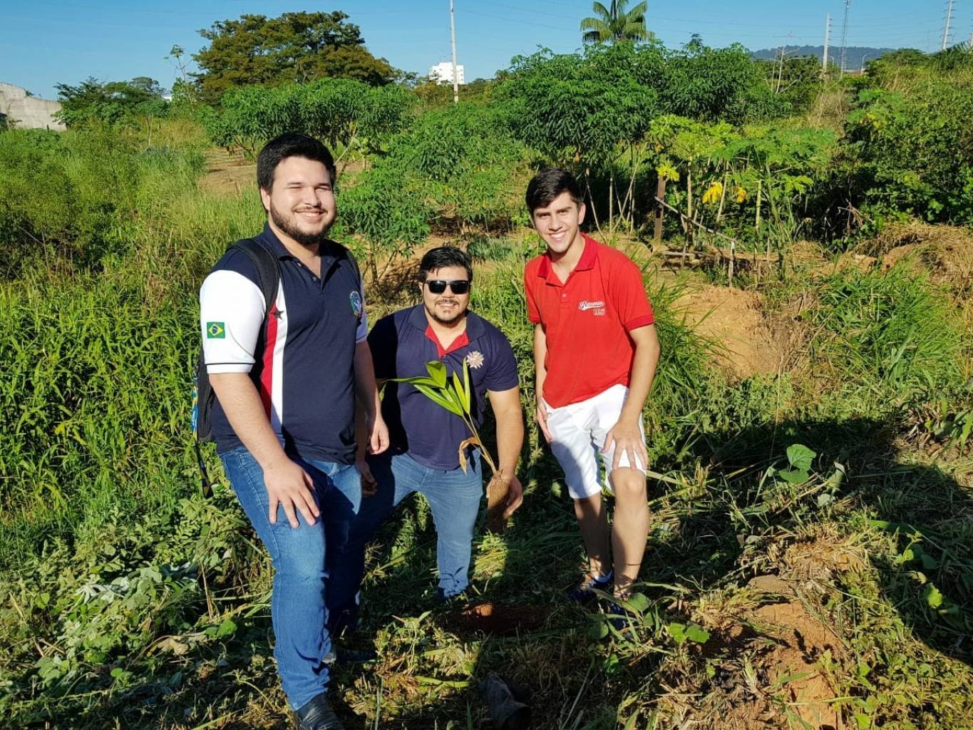 CEOD - Pará